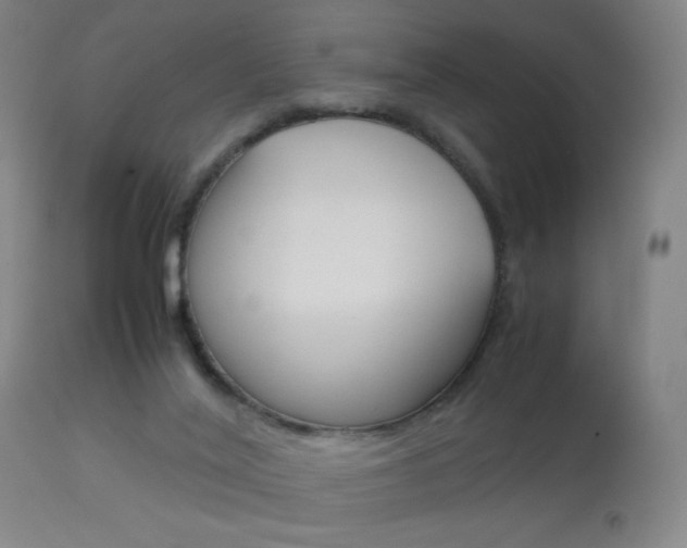 X0000113910020200909241316