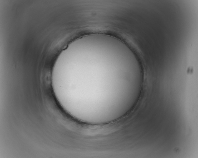 X0000113910021200909241316
