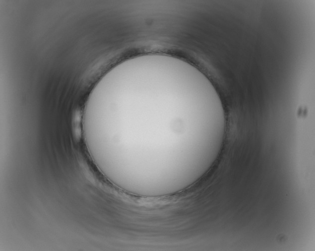 X0000113910022200909241316
