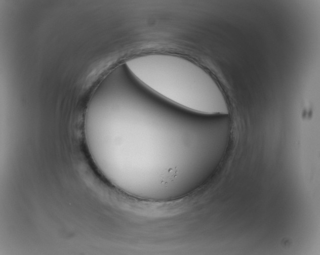 X0000113910023200909241316