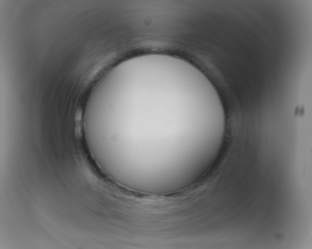 X0000113910024200909241316
