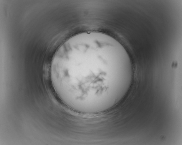 X0000113910026200909241316