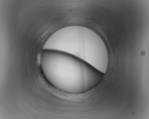 X0000113910027200909241316