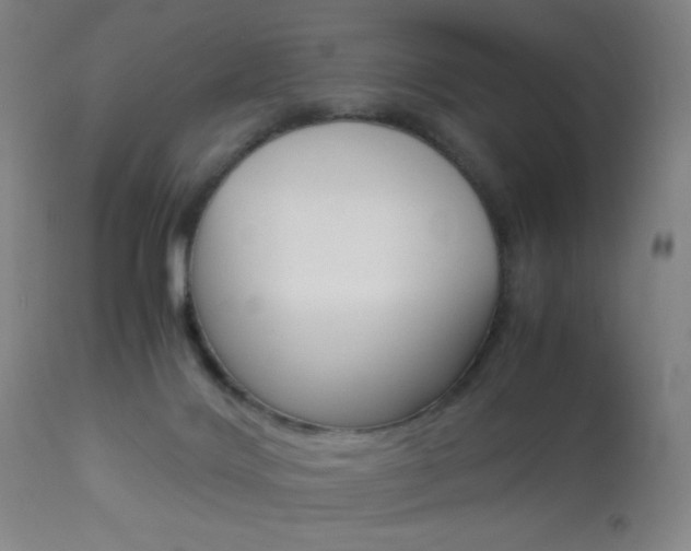 X0000113910028200909241316
