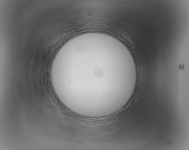 X0000113910029200909241316