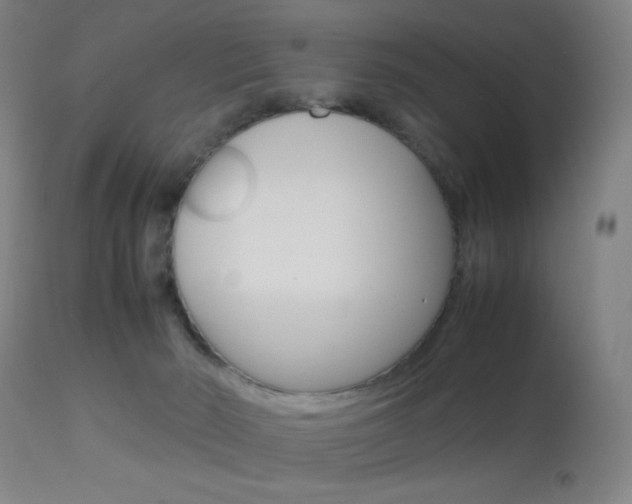 X0000113910030200909241316