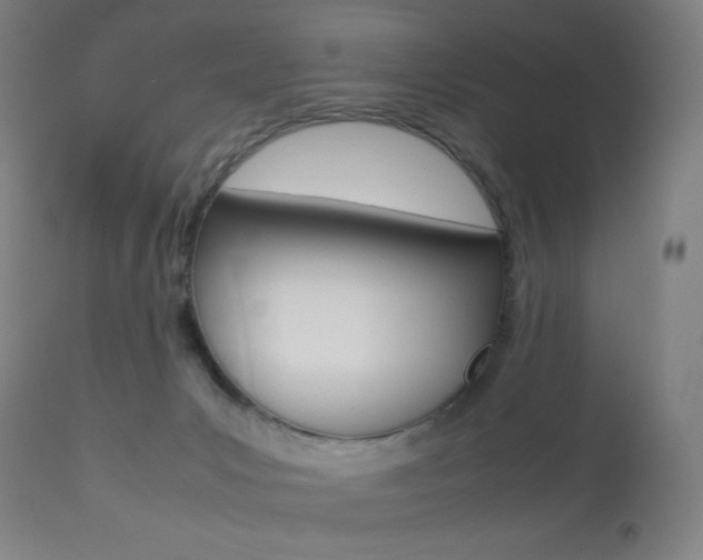 X0000113910031200909241316