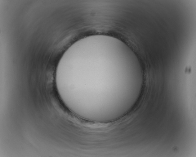 X0000113910032200909241316