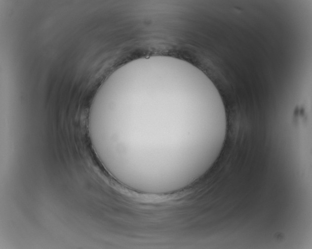 X0000113910034200909241316