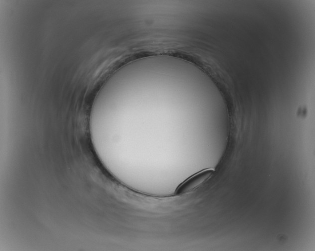 X0000113910035200909241316