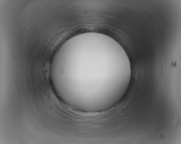X0000113910036200909241316