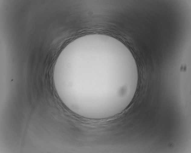 X0000113910037200909241316
