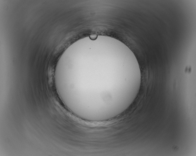 X0000113910038200909241316