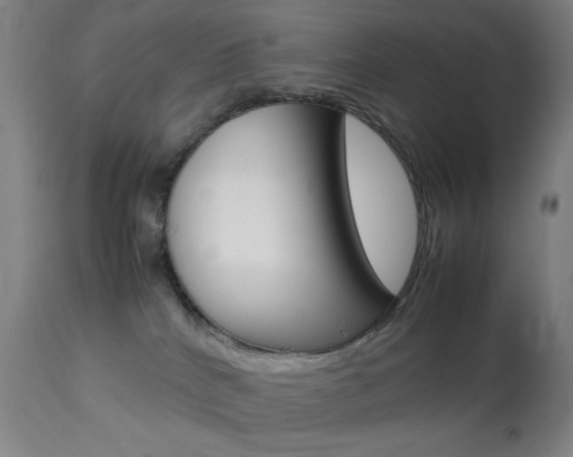 X0000113910040200909241316