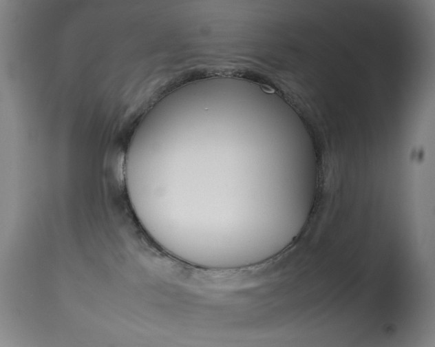 X0000113910041200909241316