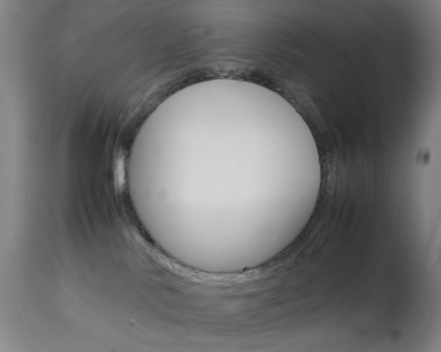 X0000113910042200909241316