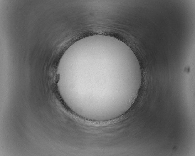 X0000113910043200909241316