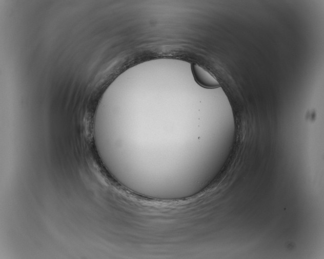 X0000113910044200909241316