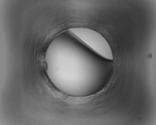 X0000113910045200909241316