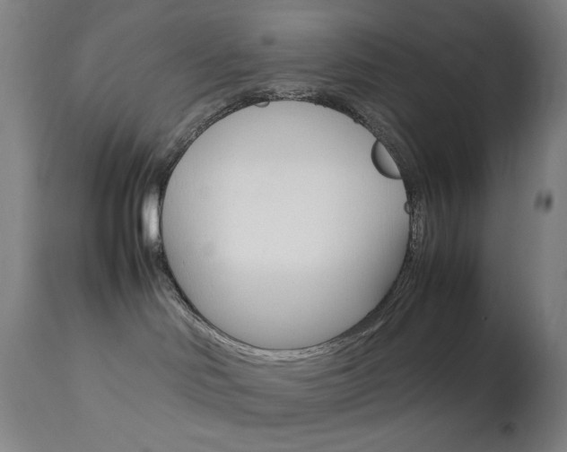 X0000113910046200909241316