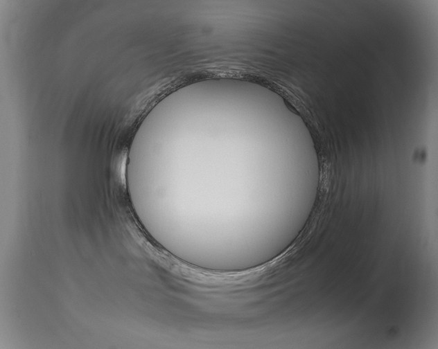 X0000113910047200909241316