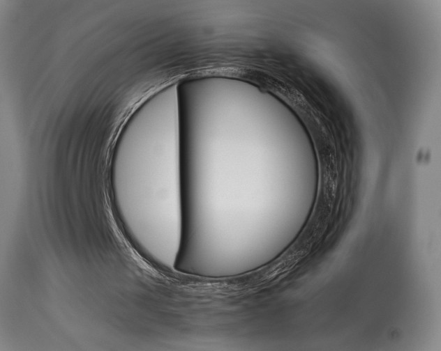 X0000113910049200909241315