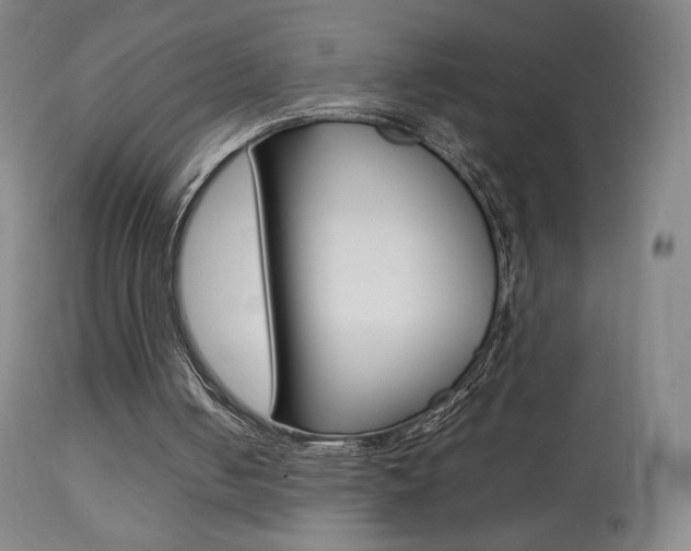 X0000113910050200909241315