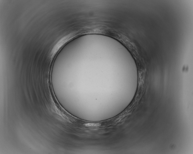 X0000113910051200909241315