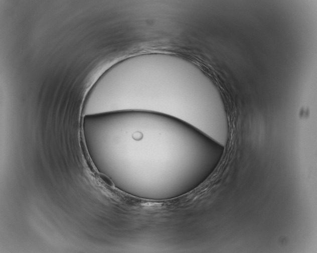 X0000113910052200909241315