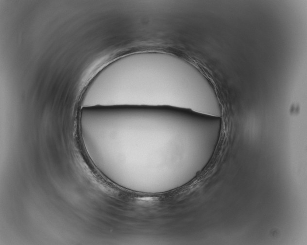 X0000113910053200909241315