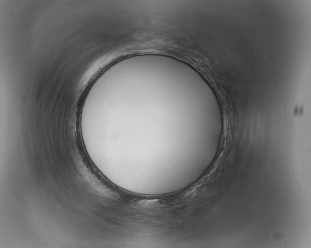 X0000113910054200909241315
