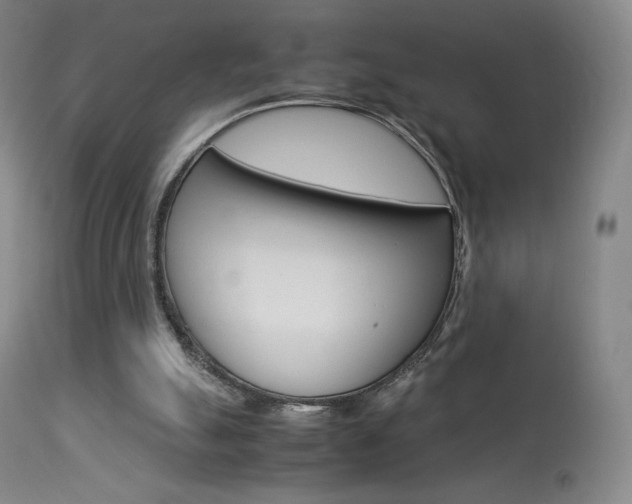 X0000113910055200909241315