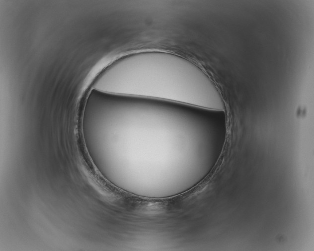 X0000113910056200909241315