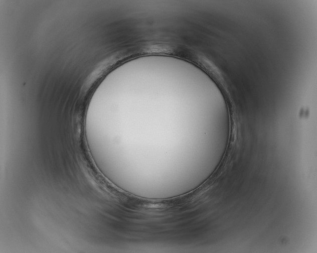 X0000113910059200909241315
