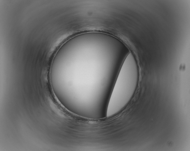 X0000113910060200909241315