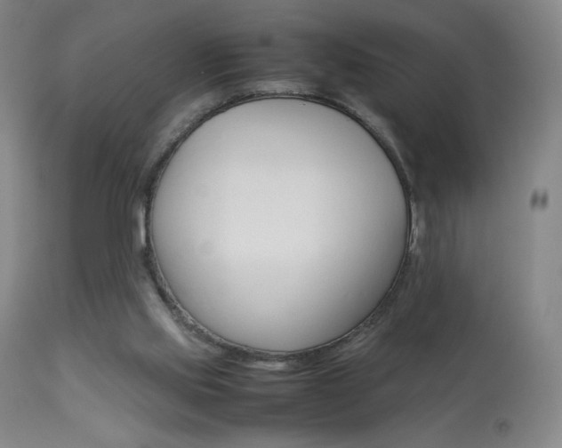 X0000113910061200909241315