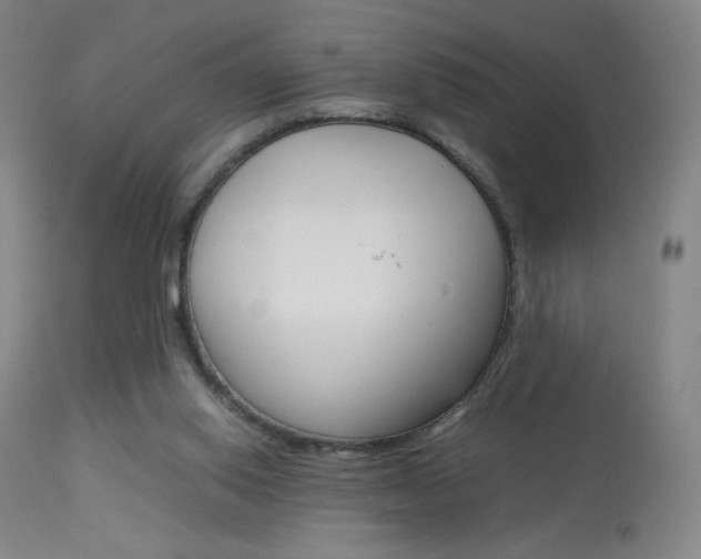 X0000113910062200909241315