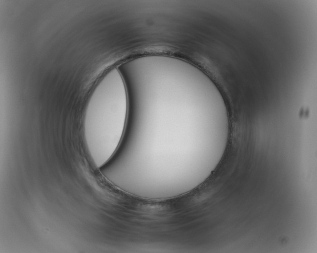 X0000113910063200909241315