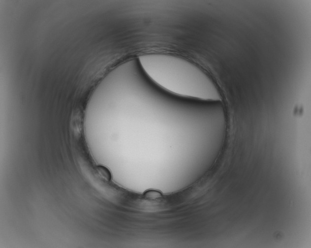 X0000113910069200909241315