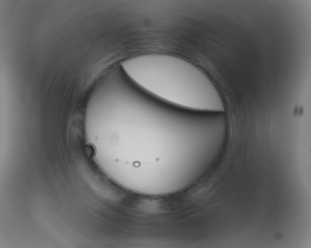 X0000113910071200909241315