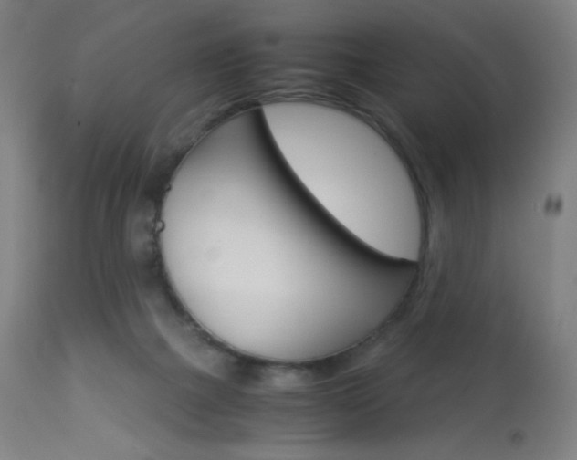 X0000113910073200909241315