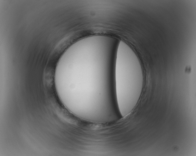 X0000113910074200909241316