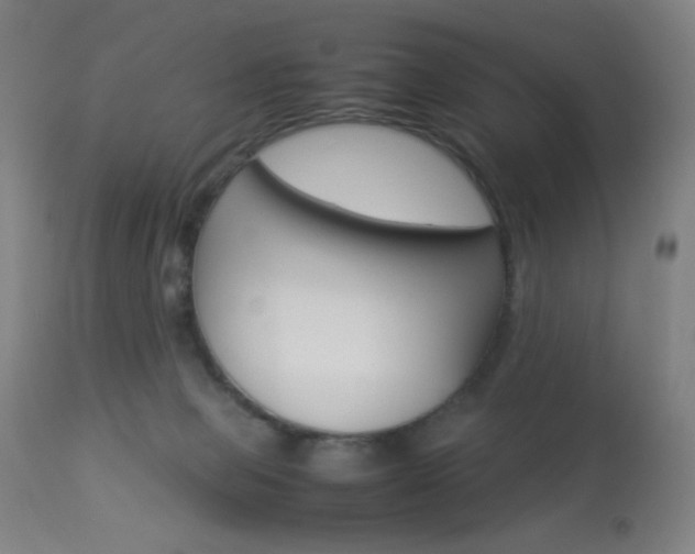 X0000113910077200909241316