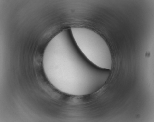 X0000113910078200909241316