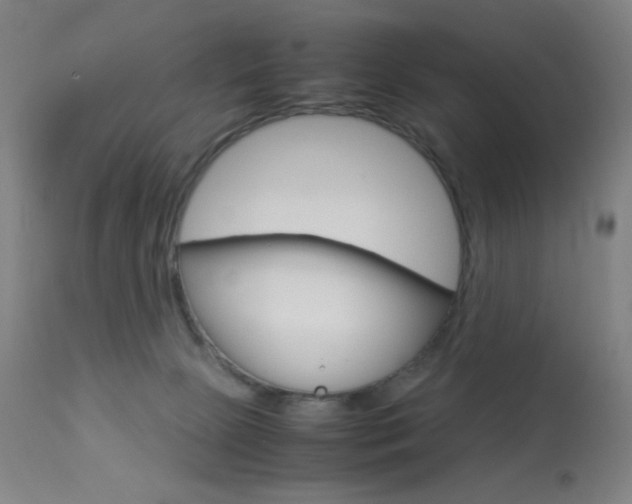X0000113910081200909241316