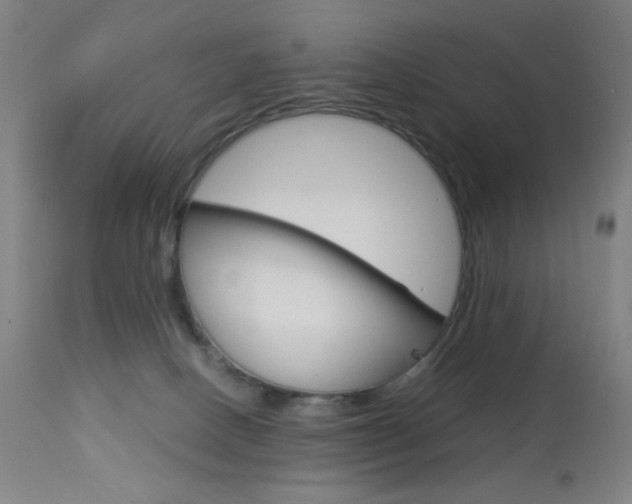 X0000113910082200909241316