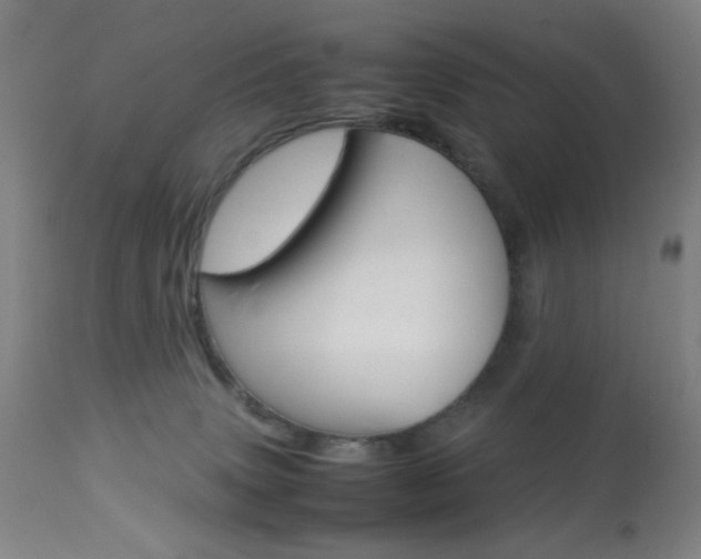 X0000113910083200909241316