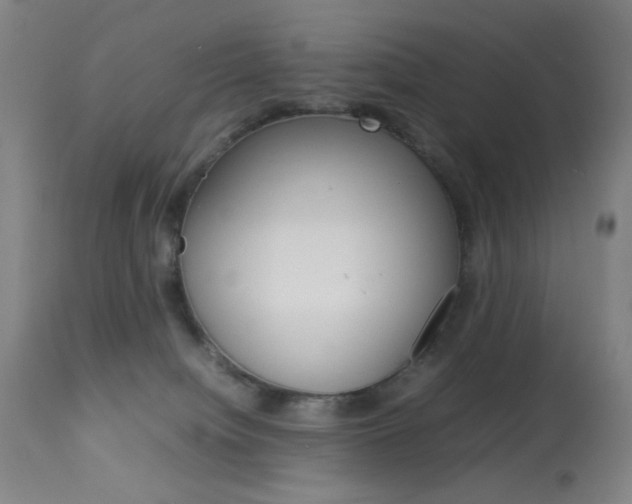 X0000113910084200909241316