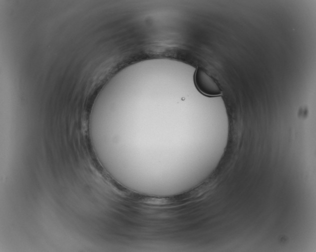 X0000113910085200909241316