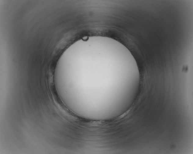 X0000113910086200909241316